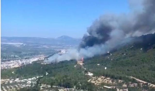 Soma'daki orman yangını yerleşim yerlerine yaklaşıyor: Bir mahalle tahliye edildi