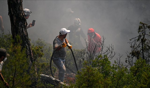 Diyarbakır, Lice'deki yangın söndürüldü