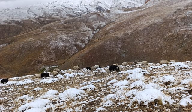 Van'ın yüksek kesimlerine yılın ilk karı düştü