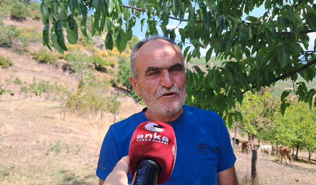 Ardanuçlu besici Bozkurt: Hayvancılığı bırakma noktasına geldik
