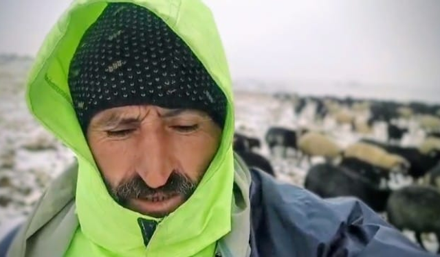 Hopa'da mevsimin ilk karı yağdı: Çobanlar yaylada mahsur kaldı