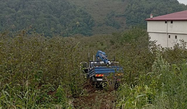 Samsun'da fındık bahçesine yuvarlanan kamyonetteki 3 kişi yaralandı