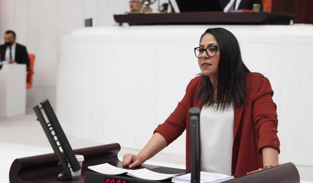 TİP'li Sera Kadıgil'den casusluk davası yorumu