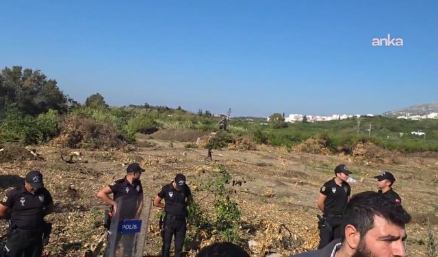 Hatay'da TOKİ için kamulaştırılan Kurtderesi’nde kalan ağaçlar da kesildi, mahalle sakinleri tepkili