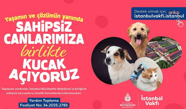 İBB ve İstanbul Vakfı'ndan sahipsiz hayvanlar için destek kampanyası