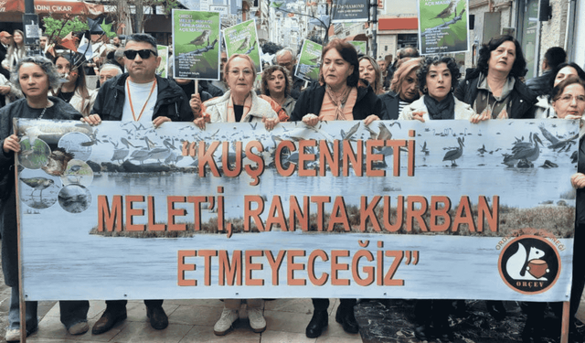 Ordu halkından 'Beton' tepkisi: Mahkeme iptal etti, belediye ısrarcı