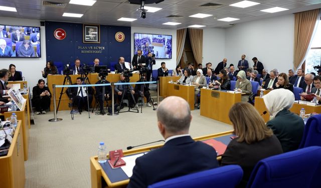 Halide Türkoğlu: Kadının güçlenmesine ödenek ayırmadığınız sürece bu toplumda şiddet sarmalı devam edecek