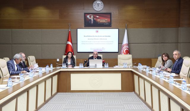 Gülizar Biçer Karaca'dan TİHEK'e insan hakları ihlalleri soruları