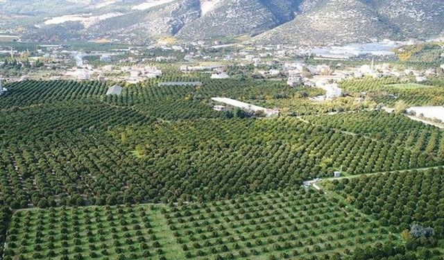 Mahkeme, Finike–Demre–Kaş–Kalkan Yol Projesi’nin ÇED Olumlu Kararını iptal etti