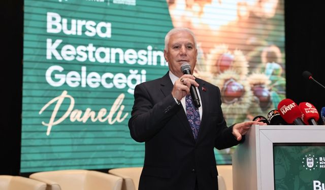 Bursa Büyükşehir, coğrafi işaretli Bursa kestanesini canlandırmak için harekete geçti