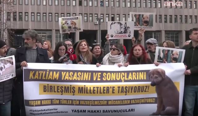 Hayvan hakları savunucusu avukatlardan Birleşmiş Milletler'e başvuru