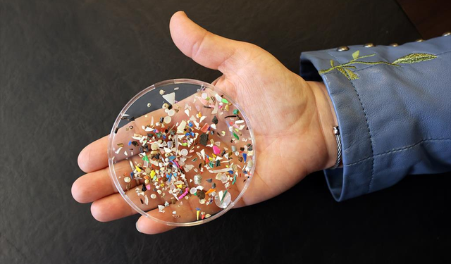 Araştırma: Her yıl 250 gram plastik yiyoruz