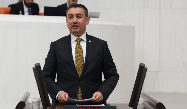 Karaman'da 1,75 milyon metrekarelik mera alanı GES projesi için tahsis edildi