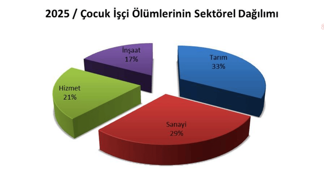 İSİG Meclisi 2025 Raporu: Çocuk İşçiliği "Can" Almaya Devam Ediyor