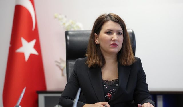 Gökçe Gökçen: Soytekin’in ifadeleri gerçeğe aykırıysa Mehmet Pehlivan neden hala tutuklu?