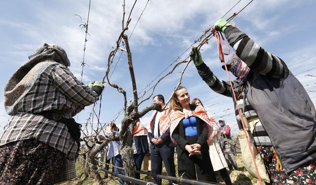 CHP'li Başkan Özalper: Üretimin devamı için düzenlemeyi geri çekin