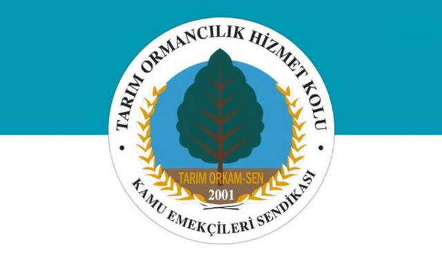 Tarım Orkam-Sen'den Milas uyarısı: 40 bin zeytin ağacı yok edilme tehdidiyle karşı karşıya