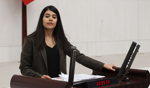 Beritan Güneş: Rojava protestolarında işkenceye uğrayan çocuklar derhal serbest bırakılmalı