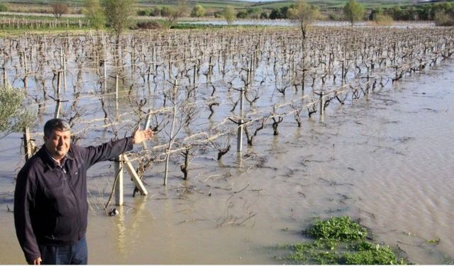 Ziraat Odası Başkanı Okur’dan “Gediz boşa akıyor” feryadı