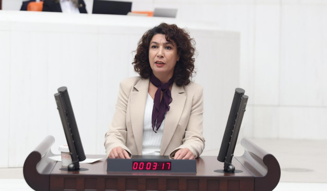 DEM Parti, TBMM Başkanlığı'ndan kadın cinayetleri için genel görüşme talep etti