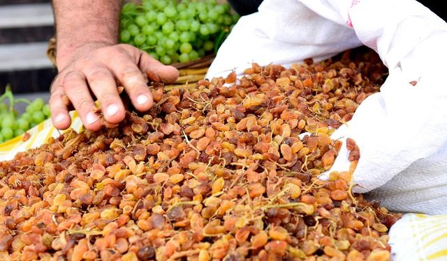Manisa’nın kuru üzümüne en çok Birleşik Krallık rağbet ediyor