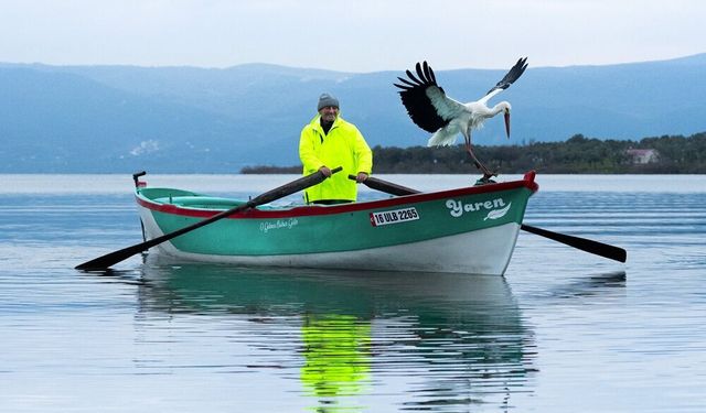 Yaren leylek 15'inci kez Karacabey'e döndü