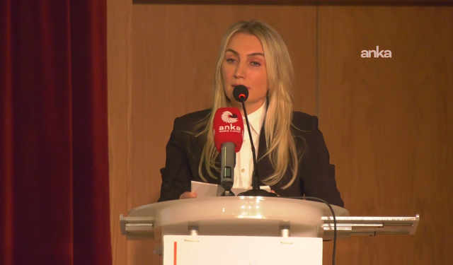 Dilek Kaya İmamoğlu: Tutuklamalar delillere değil beyanlara dayanıyor