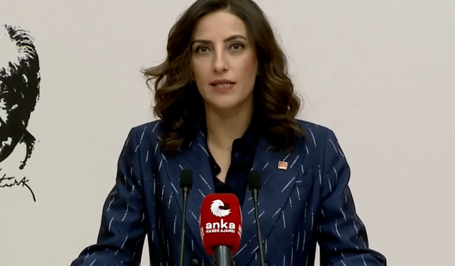 CHP'li Rızvanoğlu: 4 milyon 800 bin metrekare alan bir gecede orman sınırları dışına çıkarıldı