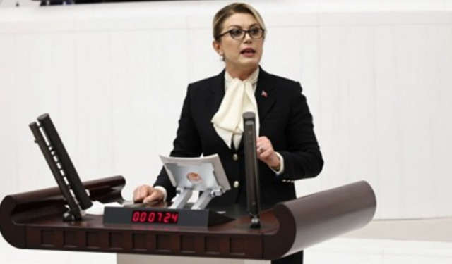 Asu Kaya, Esma Kılıçarslan dosyasındaki iddiaları Meclis'e taşıdı