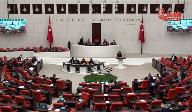 DEM Partili İrmez: Belediyelerin yetkileri Cumhurbaşkanlığı'nın koridorlarına hapsediliyor