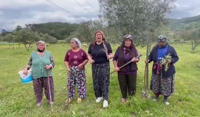 Akbelen'de 1 Mayıs açıklaması: Esra Işık serbest bırakılsın