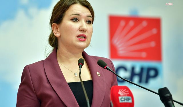 CHP'den BİRTEK-SEN Genel Başkanı Mehmet Türkmen'e destek mesajı