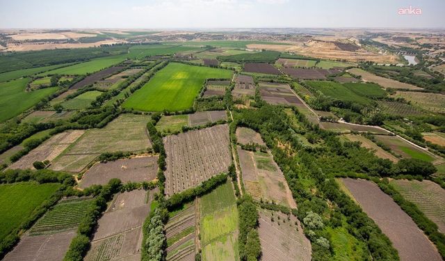 Diyarbakır Barosu’ndan Dicle Üniversitesi’ne suç duyurusu