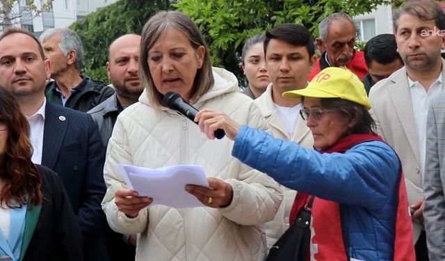 Ünye Çevre Platformu’ndan maden ihalelerine tepki: Yaşam alanlarımızı savunuyoruz
