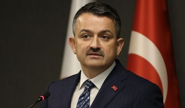 81 ilde üreticilere destek ödemesi Cuma günü