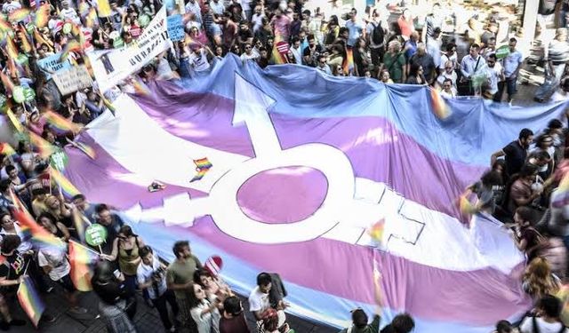 Macaristan'da 'cinsiyetlerin yasal olarak değiştirilmesini engelleyen yasa Anayasa'ya aykırı' kararı verildi