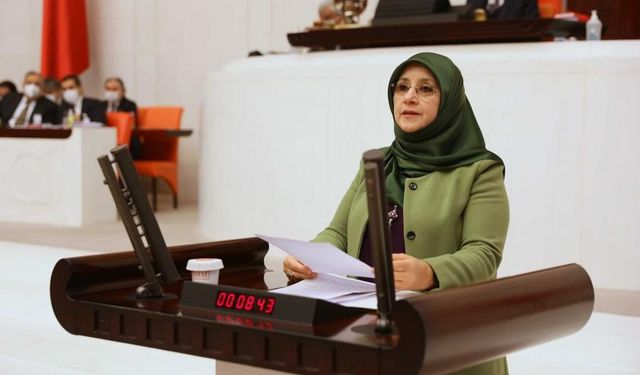 HDP'li Kaya Gazeteci Akinan'ın aşı iddialarını meclis gündemine taşıdı