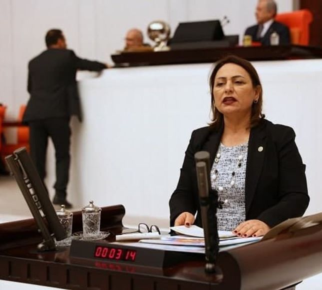 CHP’li Şevkin’den İçişleri Bakanı’na: Tahliye edilen Zeydan Karalar neden göreve iade edilmiyor?