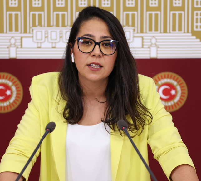 Sera Kadıgil, Uşak’taki Sevgi Evlerine ilişkin iddiaları Meclis gündemine taşıdı
