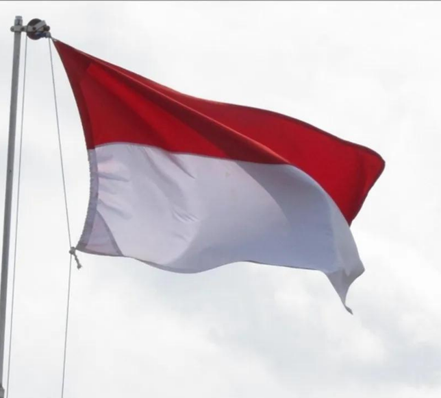 Endonezya, Gazze'ye asker gönderme planını askıya aldı