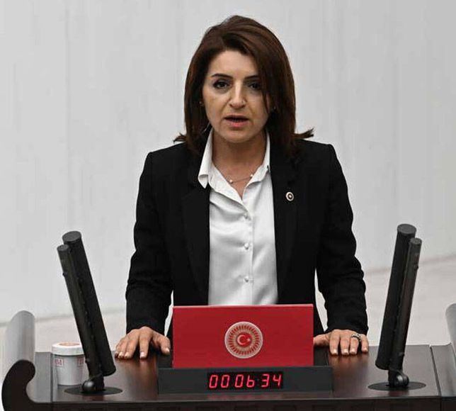 CHP'li Kış: Faizi düşürmeden enflasyonu düşürdüğünü söyleyenler, bugün üretimi de istihdamı da kaybettirmiş durumda