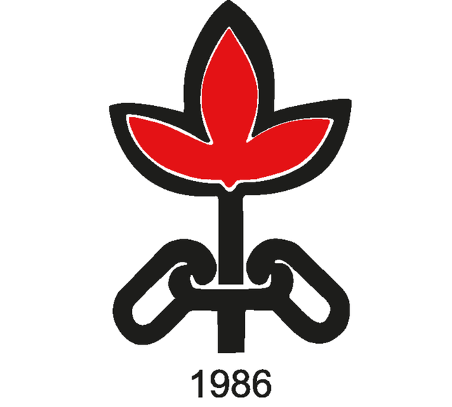 İHD: Gözaltı operasyonları, örgütlenme ile basın özgürlüğüne yönelik açık bir saldırı