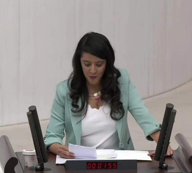 EMEP'li Karaca, Adalet Bakanı Gürlek'e Tunceli Adliyesi’ndeki yükselme sınavına ilişkin iddiaları sordu