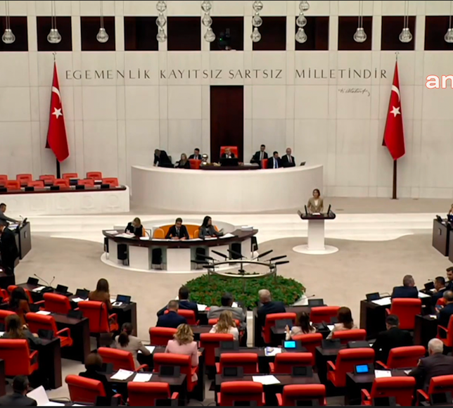 TBMM'de Demirtaş'ın AİHM kararı tartışması