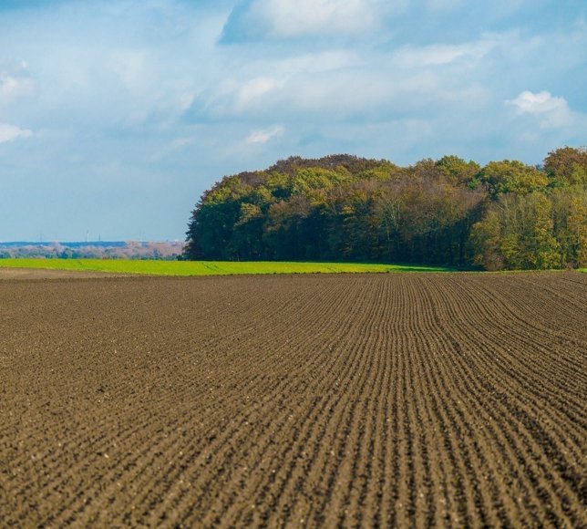 Hürmüz Boğazı’ndaki aksamalar dünya genelinde çiftçileri zora sokuyor