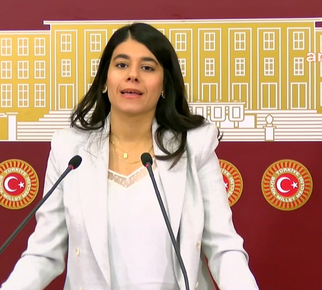 Beritan Güneş: Mardin göz göre göre ekolojik kırıma sürükleniyor