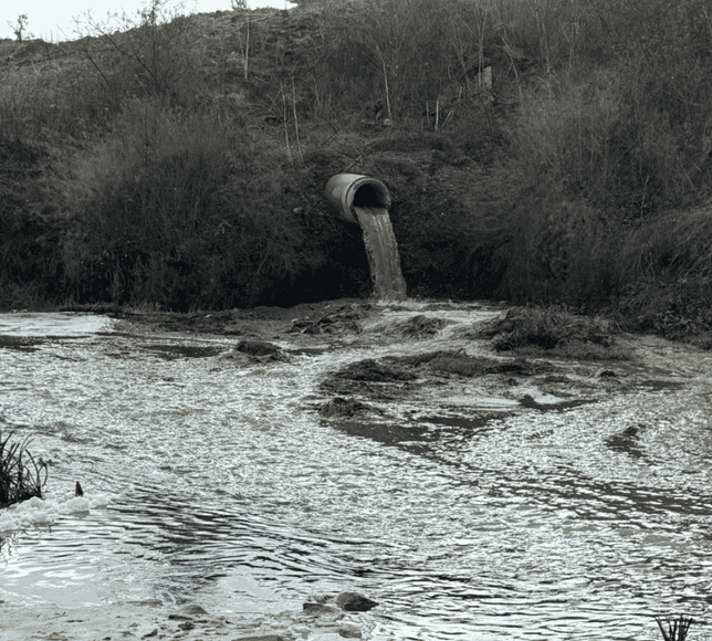 Gerede Çayı zehir akıyor: 355 bin insan tehdit altında