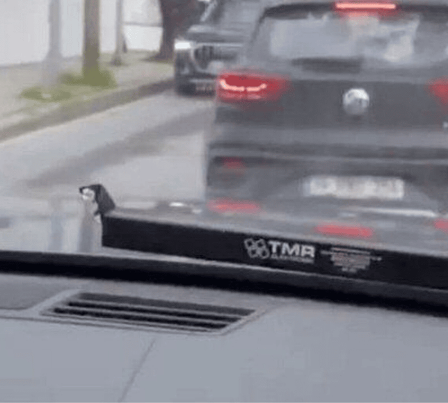 Acun Ilıcalı'ya sosyal medyada "Çakar" tepkisi