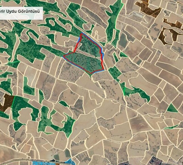 Denizli'de ormanlık alana kurulacak taş ocağı projesine ÇED onayı verildi