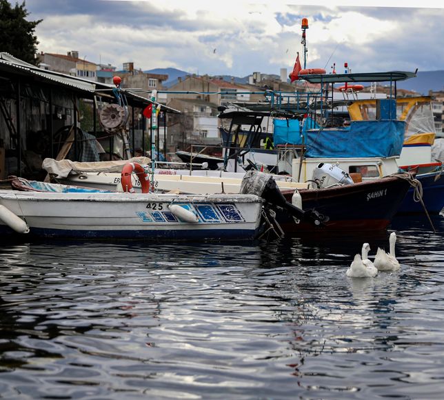Bursa'da balıkçılara yüzde 100 hibeli mazot desteği: Balık sizden, mazot bizden